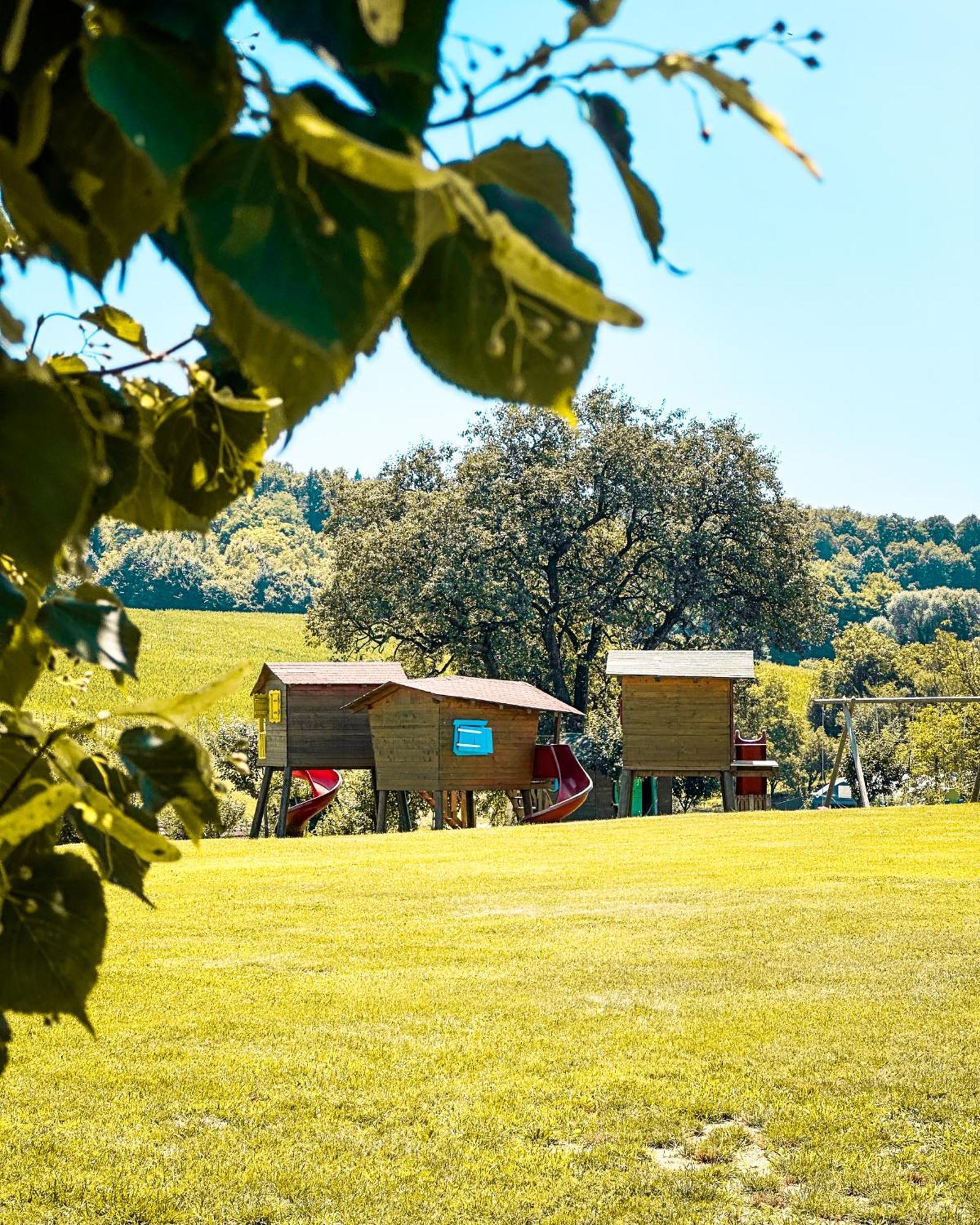 Bed&Breakfast Vinarija Coner Bjelovar Εξωτερικό φωτογραφία
