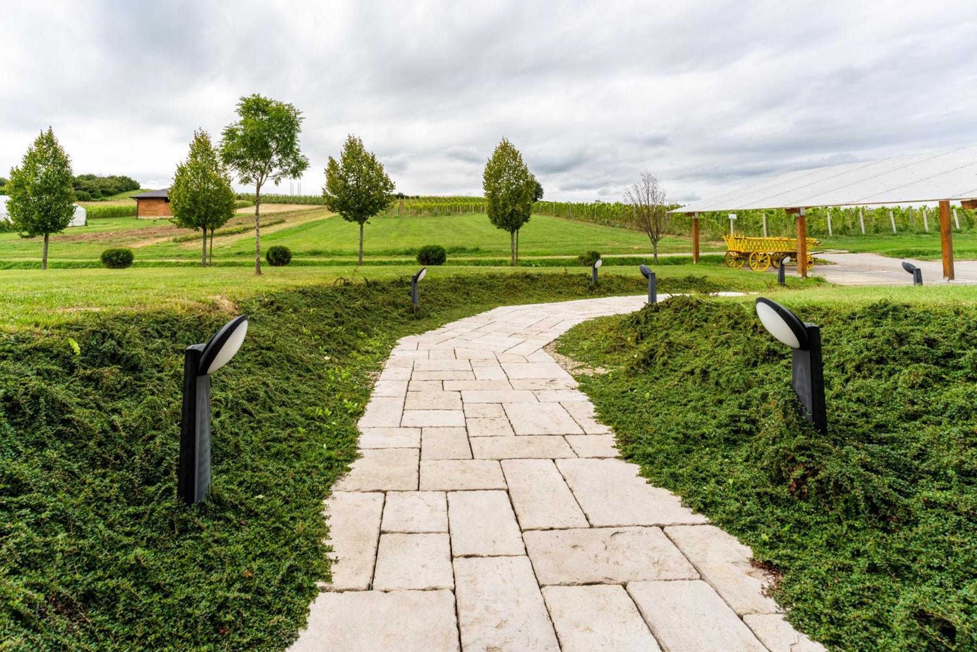 Bed&Breakfast Vinarija Coner Bjelovar Εξωτερικό φωτογραφία