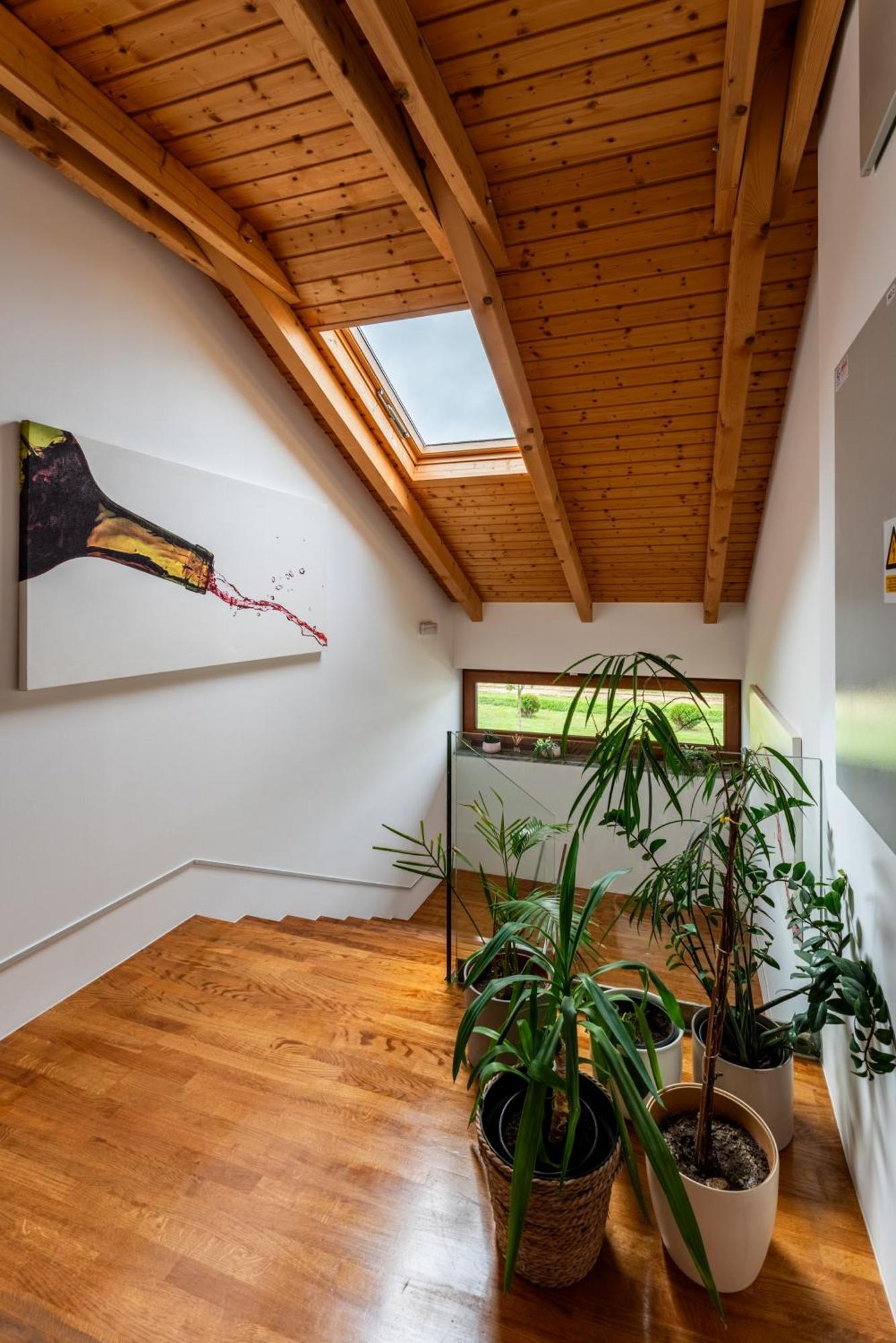 Bed&Breakfast Vinarija Coner Bjelovar Εξωτερικό φωτογραφία